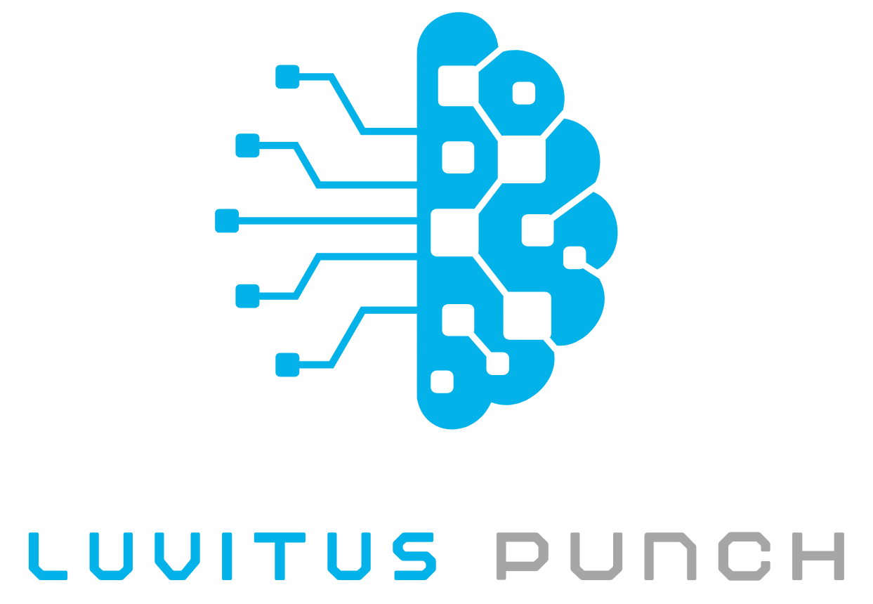 LUVITUS PUNCH SDN BHD